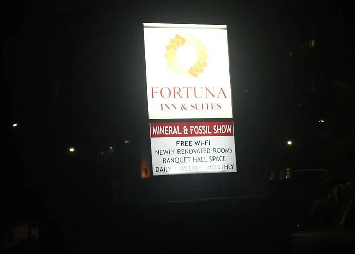 Fortuna And 2*
