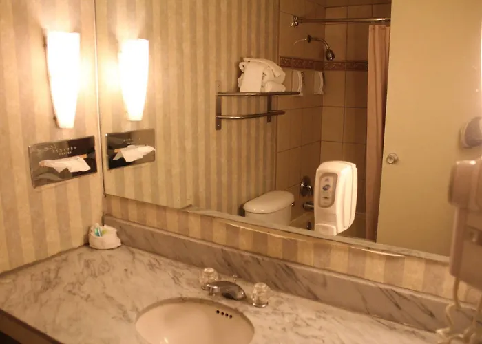 Hotel Fortuna And